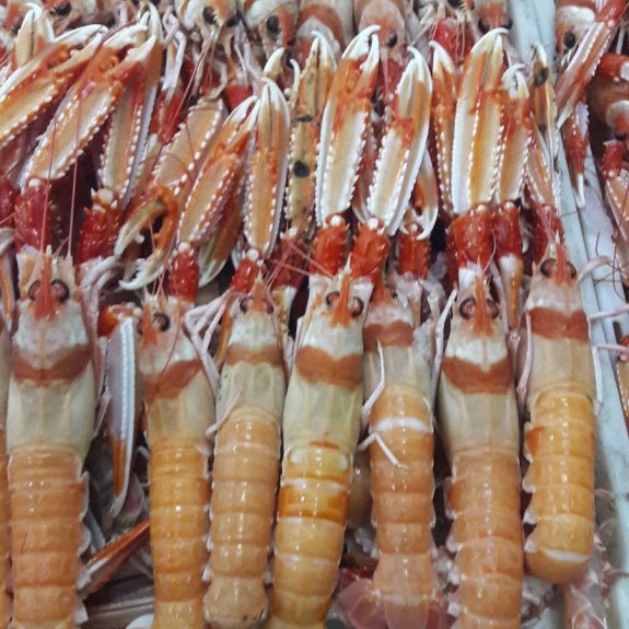 Restaurant Abbas - Maison de Poisson et Fruits de Mer