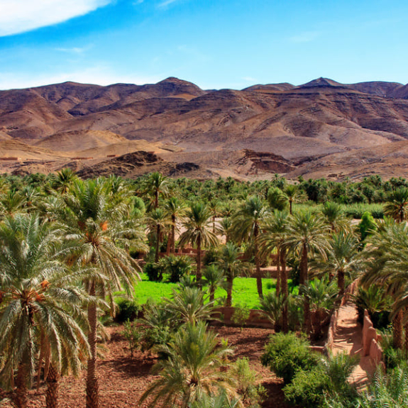 Randonnée dans le sud marocain
