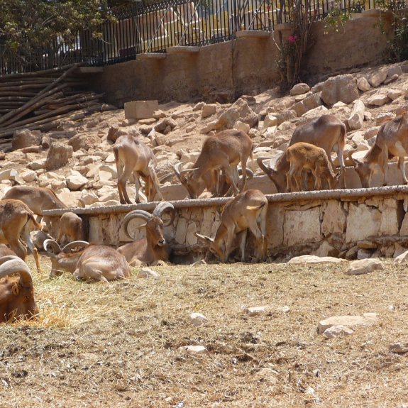 La Vallée des Oiseaux d'Agadir