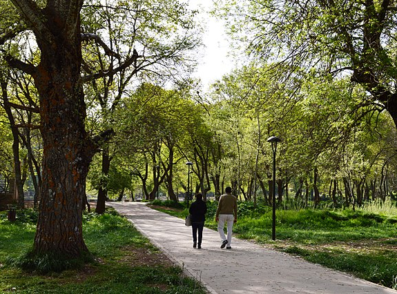 Le Parc National d'Ifrane