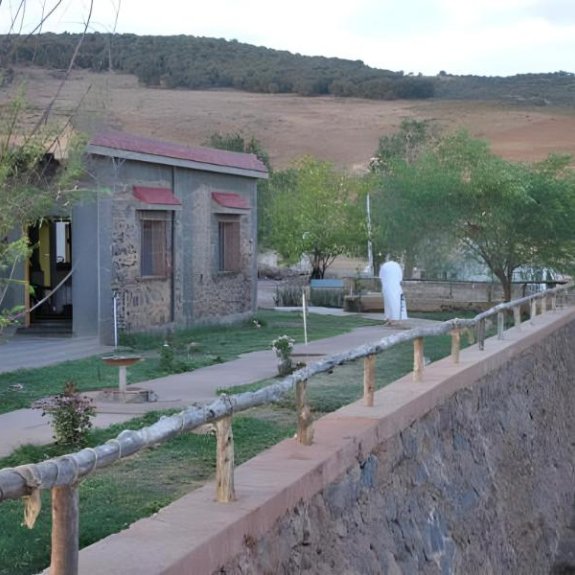 Tamanoucht