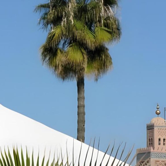 Riad Nafis