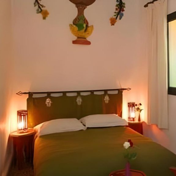 Riad Celia
