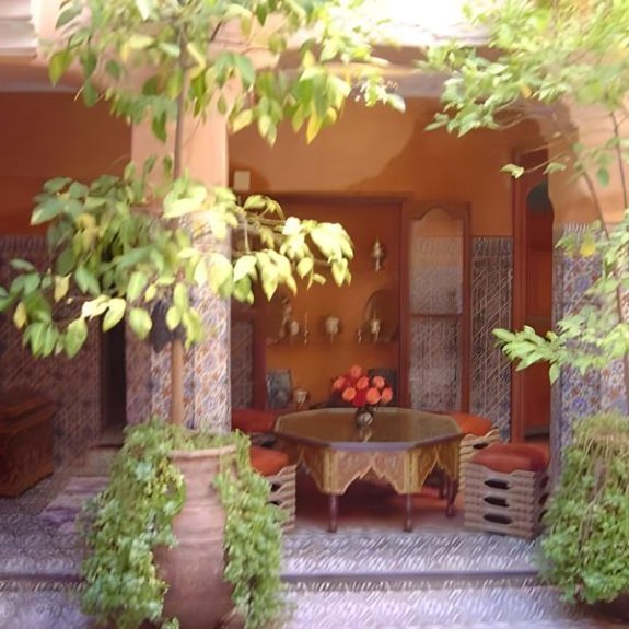 Abelia Riad - 2025 Guest Choice Award