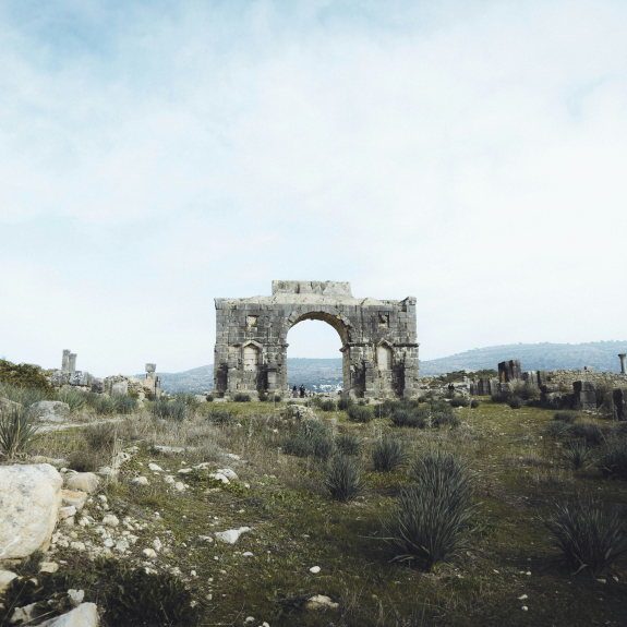 Excursion privée à Volubilis, Moulay Idriss et Meknès