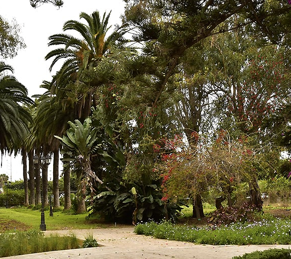 Jardin d'Essais Botaniques
