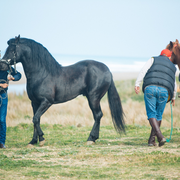 Mnar CASTLE Activities, Horseback Riding