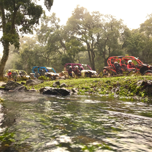 Mnar CASTLE Activities, Excursiones BUGGY