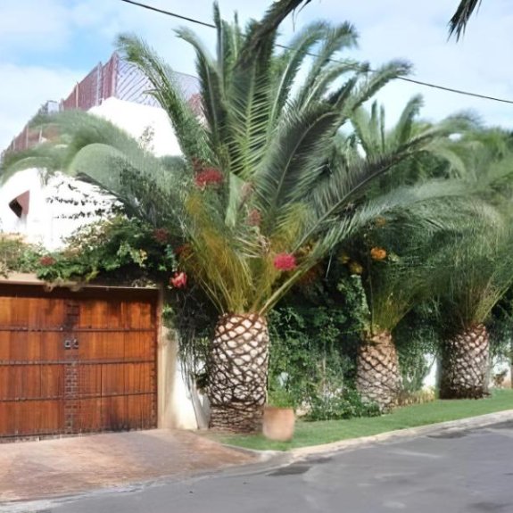 Riad Alhambra