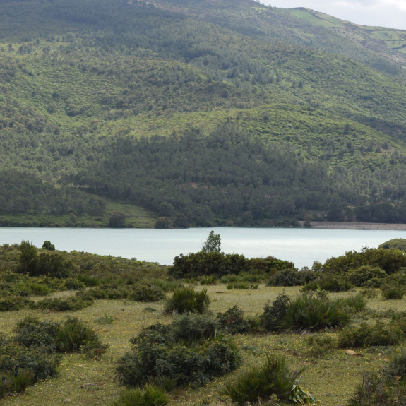 LE BARRAGE DE NAKHLA