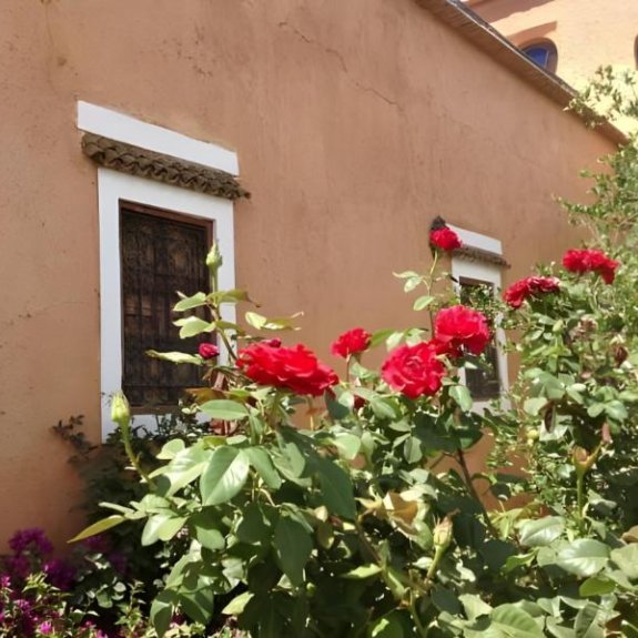 Riad Timadrouine
