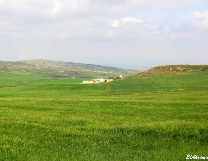 &copy; panoramio / elakramine, http://www.panoramio.com/user/831427
