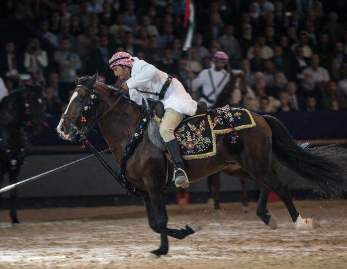 &copy; Salon du Cheval / Association du Salon du Cheval