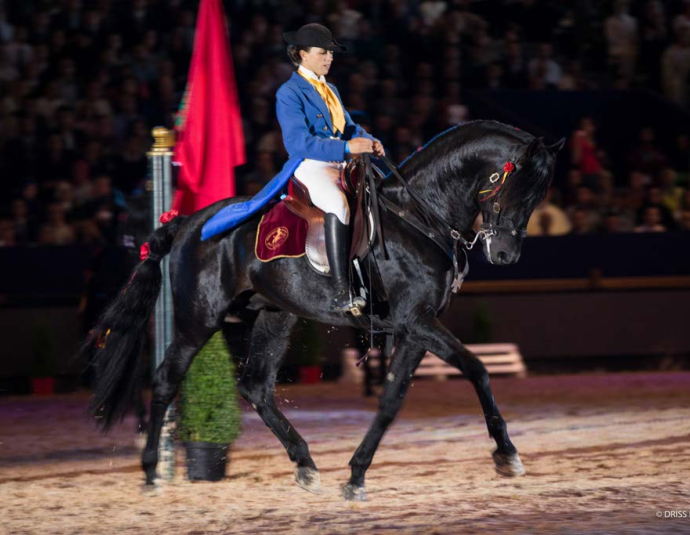 &copy; Salon du Cheval / Association du Salon du Cheval