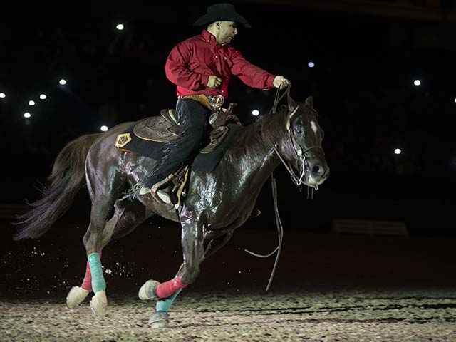 &copy; Salon du Cheval / Association du Salon du Cheval