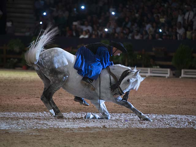 &copy; Salon du Cheval / Association du Salon du Cheval