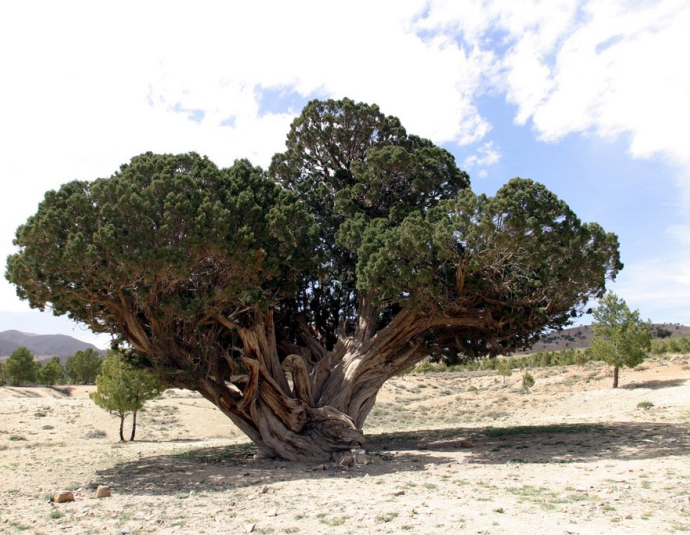&copy; panoramio / Valentín Enrique, http://www.panoramio.com/user/1082258