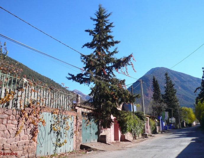 &copy; panoramio / Samba, http://www.panoramio.com/user/4238022