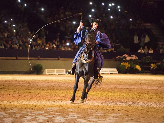&copy; Salon du Cheval / Association du Salon du Cheval