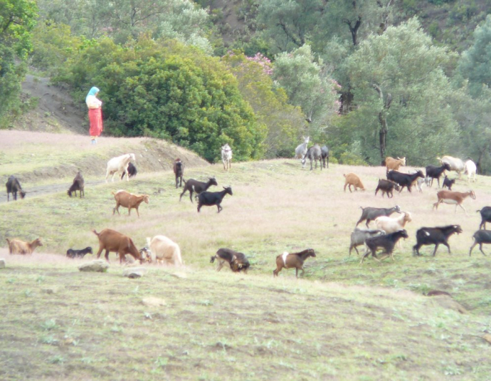 &copy; panoramio / Miguel del Rif, http://www.panoramio.com/user/3425708
