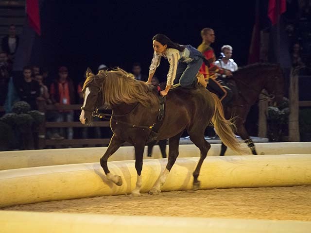 &copy; Salon du Cheval / Association du Salon du Cheval