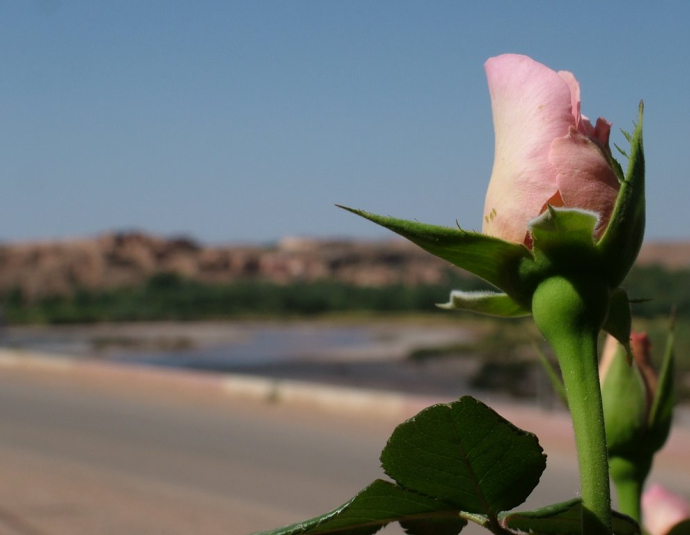 &copy; panoramio / Andrej Pau?i?, http://www.panoramio.com/user/801748
