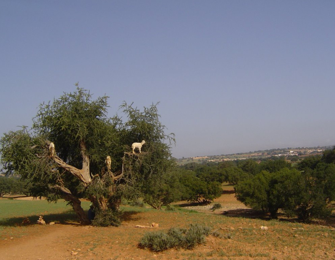 &copy; panoramio / Valinco, http://www.panoramio.com/user/1008135