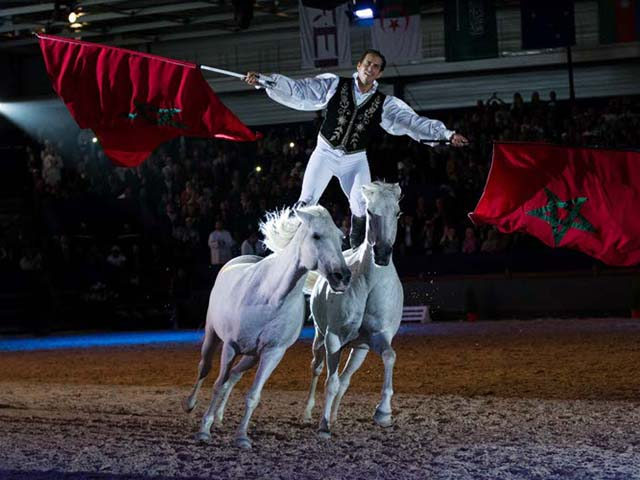 &copy; Salon du Cheval / Association du Salon du Cheval
