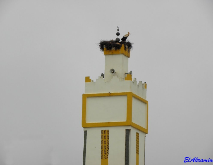 &copy; panoramio / elakramine