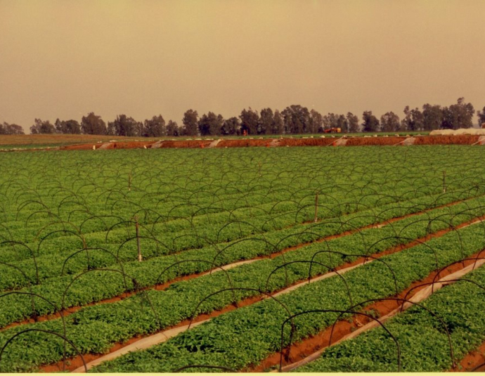 &copy; panoramio / Xavier Rivera, http://www.panoramio.com/user/6492