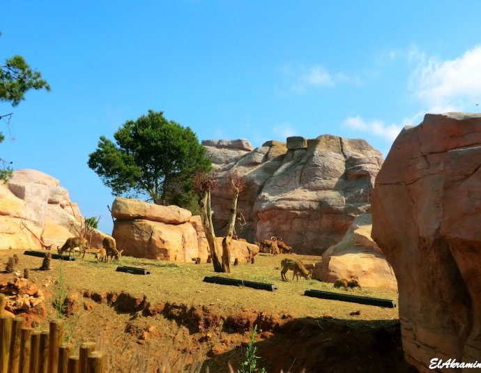 &copy; panoramio / elakramine, http://www.panoramio.com/user/831427