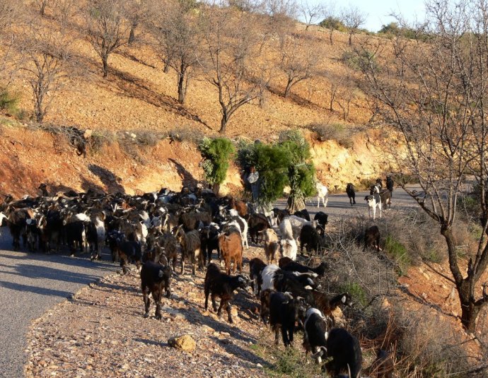 &copy; panoramio / Naru Kenji, http://www.panoramio.com/user/1310638
