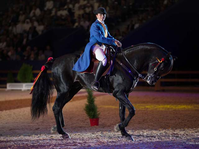&copy; Salon du Cheval / Association du Salon du Cheval