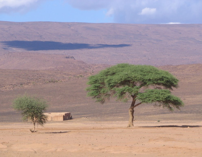&copy; panoramio / Toni Canizares, http://www.panoramio.com/user/238169