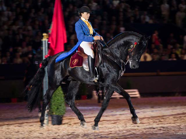 &copy; Salon du Cheval / Association du Salon du Cheval