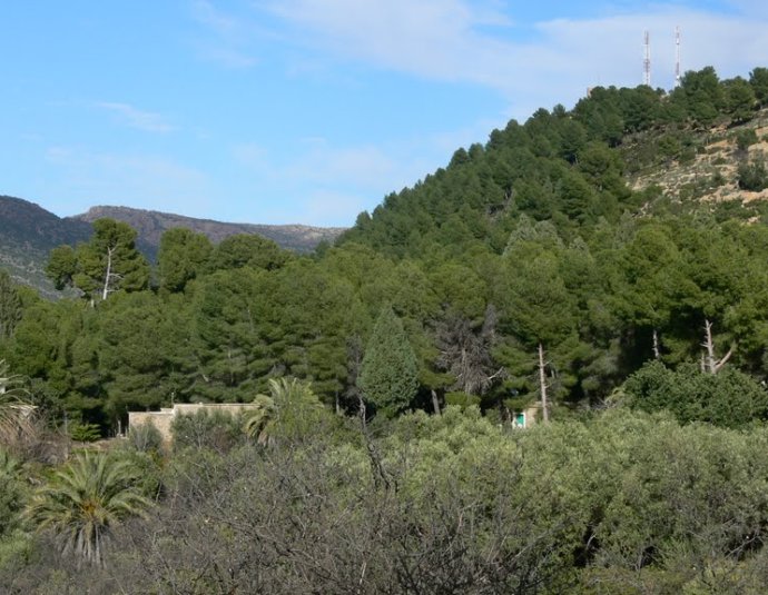 &copy; panoramio / Naru Kenji, http://www.panoramio.com/user/1310638