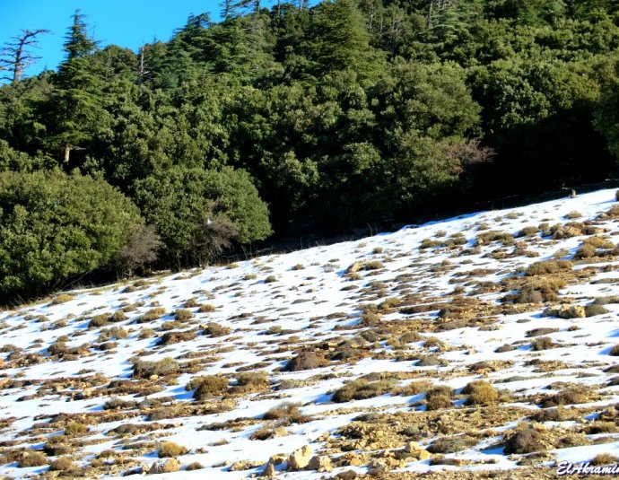 &copy; panoramio / elakramine, http://www.panoramio.com/user/831427