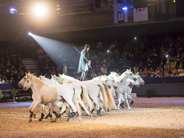 &copy; Salon du Cheval / Association du Salon du Cheval