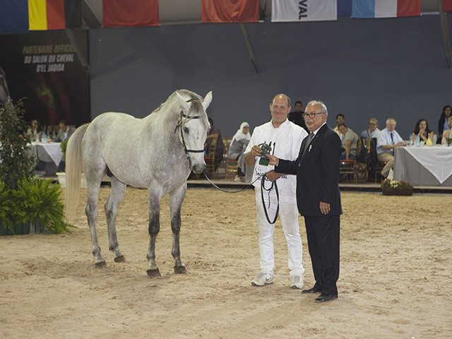 &copy; Salon du Cheval / Association du Salon du Cheval