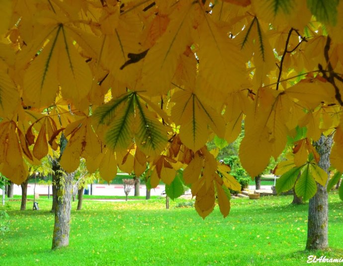 &copy; panoramio / elakramine, http://www.panoramio.com/user/831427