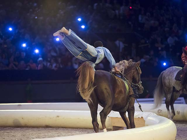 &copy; Salon du Cheval / Association du Salon du Cheval