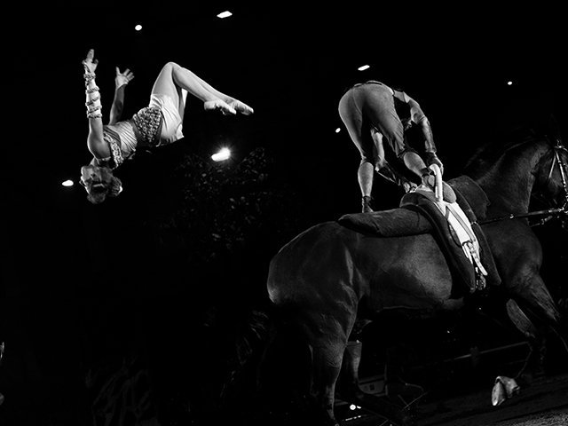 &copy; Salon du Cheval / Association du Salon du Cheval