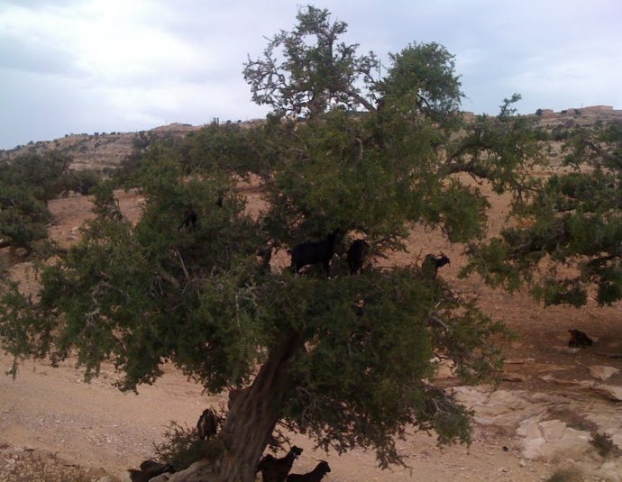 &copy; panoramio / Paulucha, http://www.panoramio.com/user/5732961