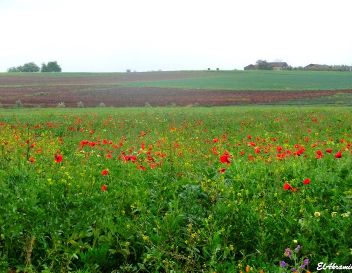 &copy; panoramio / elakramine, http://www.panoramio.com/user/831427