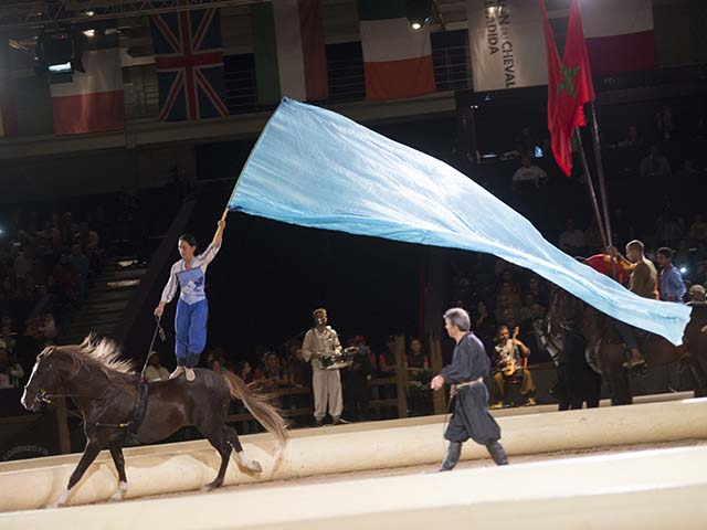 &copy; Salon du Cheval / Association du Salon du Cheval