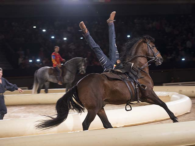 &copy; Salon du Cheval / Association du Salon du Cheval