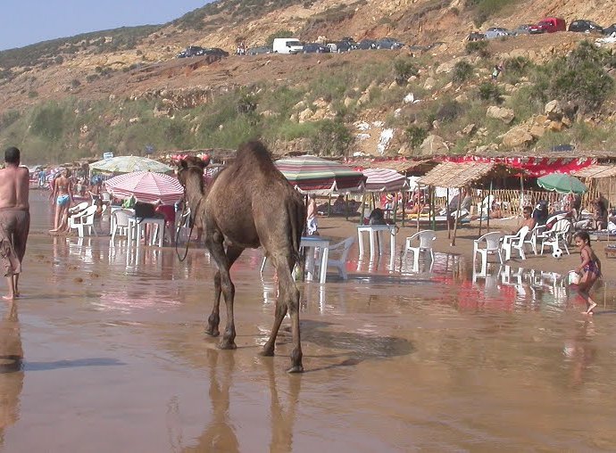&copy; panoramio / Sathy, http://www.panoramio.com/user/4123738