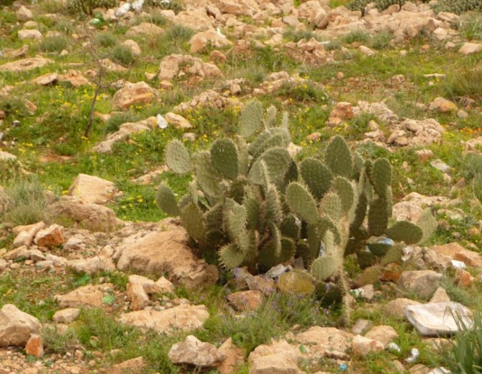 &copy; panoramio / SambaSamba