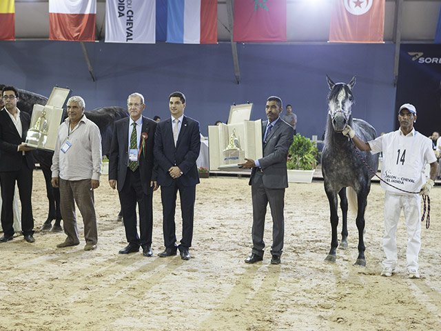 &copy; Salon du Cheval / Association du Salon du Cheval