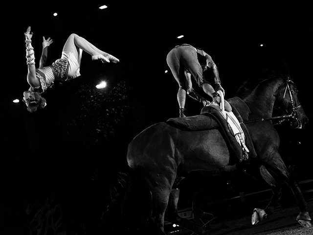 &copy; Salon du Cheval / Association du Salon du Cheval